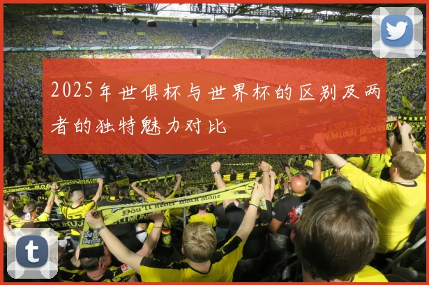 2025年世俱杯与世界杯的区别及两者的独特魅力对比