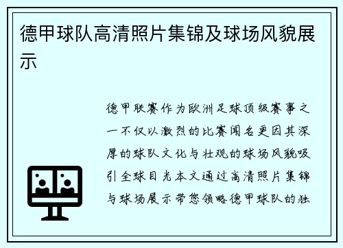 德甲球队高清照片集锦及球场风貌展示